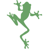 silhouette of a frog